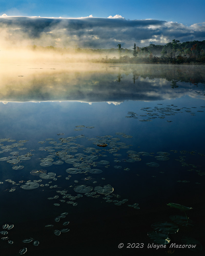 Black Water Sunrise by Wayne Mazorow