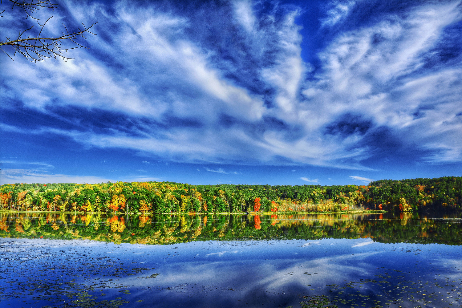 mudge pond-01 by Ron Crowcroft