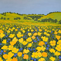 Acrylic painting &#039;Bidwell Poppies&#039; by Jenny Smith