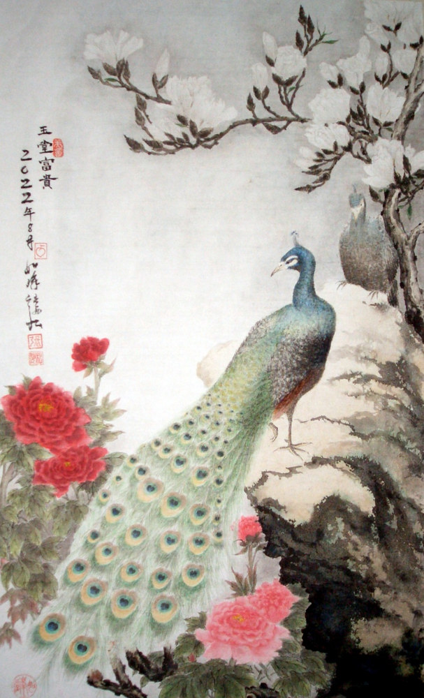 Single Peacock by Dat Truong