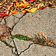 20231002_110449 by Ron Crowcroft