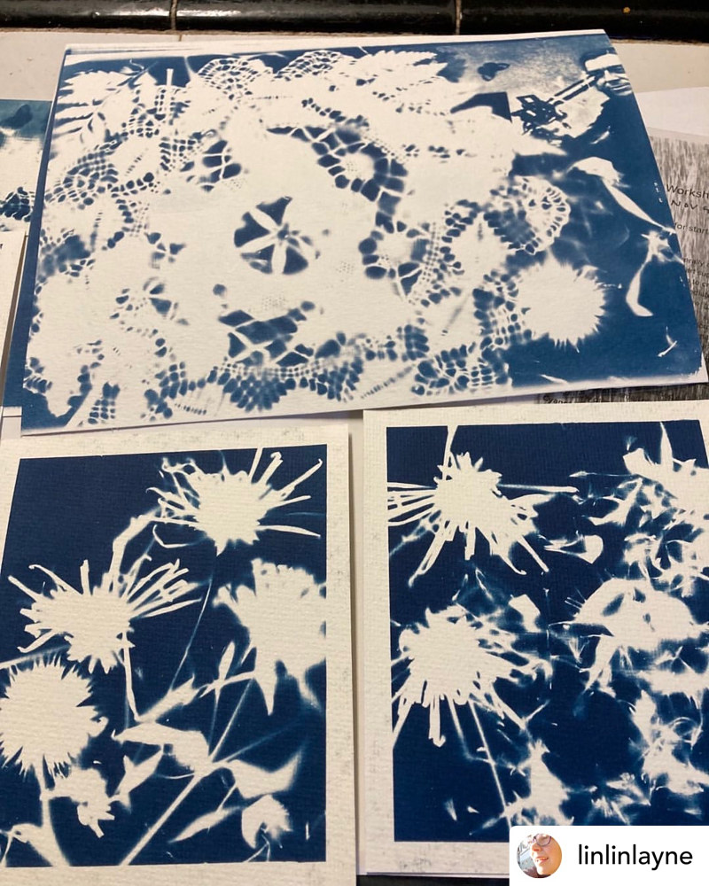 Wintersweet Studio Gallery - Amber MacGregor - Artist