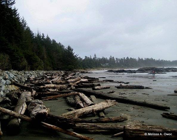 [Wood] Log strewn Chesterman Beach by Melissa Owoc