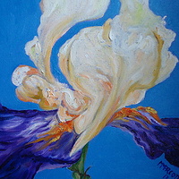 Oil painting Cream and blue iris by Michelle Marcotte