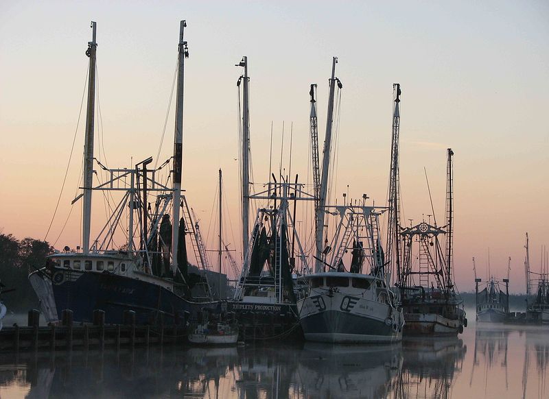 Delcambre Shrimp Fleet Delcambre, LA Dean Osgood Technologist