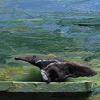 Oil painting  Giant Anteater, 2011 by David  Maxim