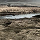 Iona Grass 1 by Jim Friesen