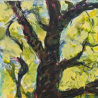 Drawing BL Maple detail by Dennis Worrel