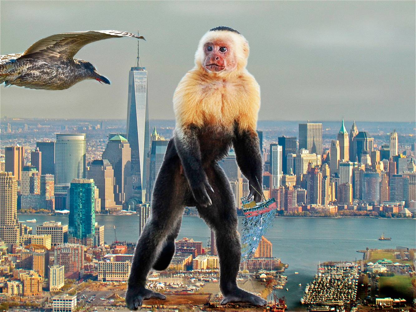 Photography MONKEY BUSINESS by Joeann Edmonds-Matthew