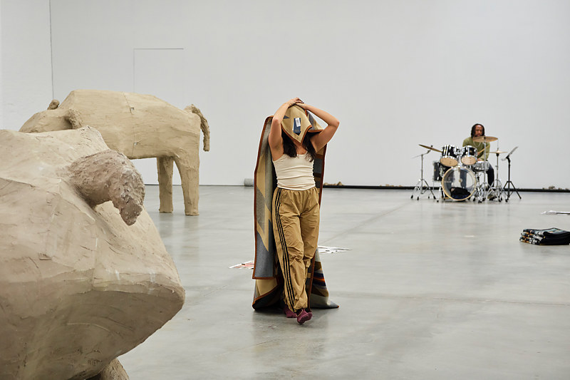 Tanya Lukin Linklater — artwork